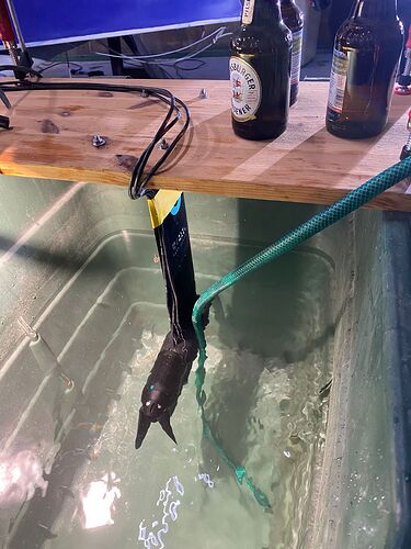 WhatsApp Image 2025-11-07 at 10.23.26