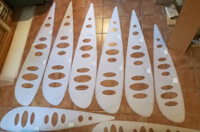 Parawing : making your own with a free DiY design software - Wing ...