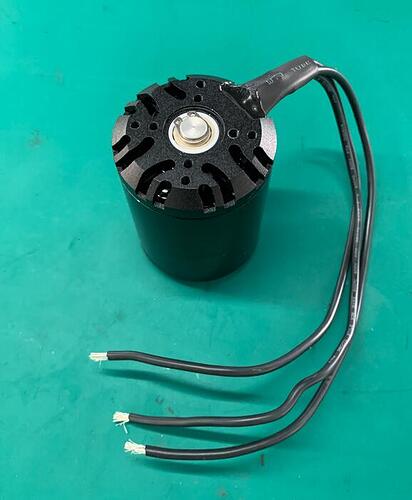 6384WP motor