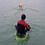 seagull_nz